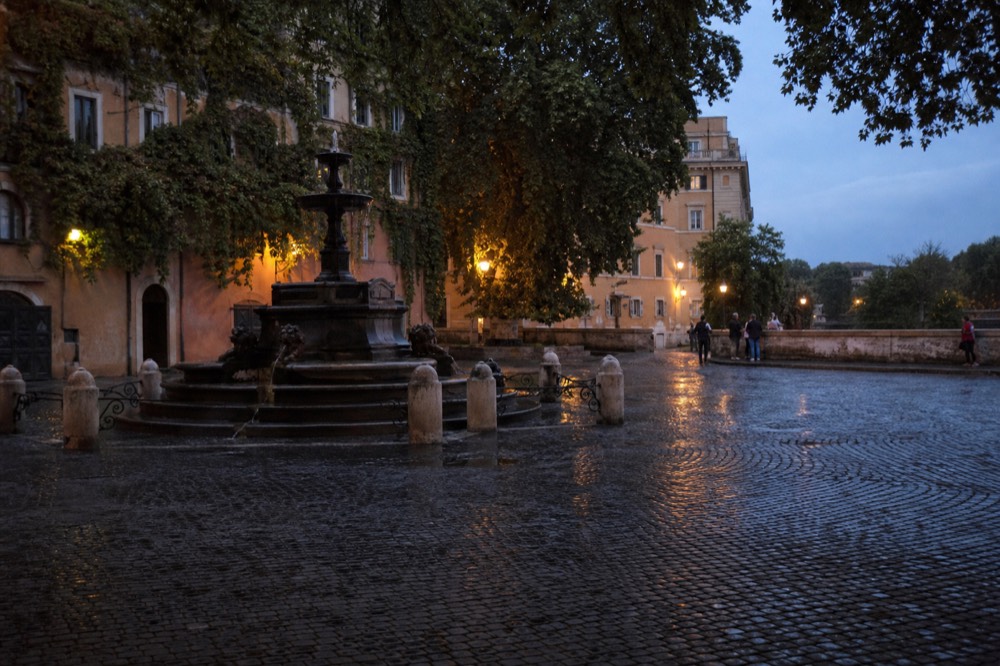Narrow cobbled street in Trastevere with hanging ivy and warm evening light, no text, no logos, no people